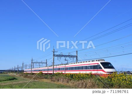 セイタカアワダチソウが沿線に咲く秋の東武特急りょうもう号 71196761