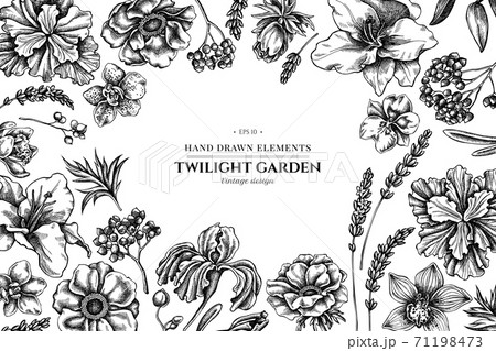 Floral design with black and white anemone, lavender, rosemary everlasting, phalaenopsis, lily, iris Floral design with black and white anemone, lavender, rosemary everlasting, phalaenopsis, lily, iris 71198473