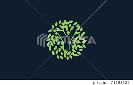 Letter Y with leaf green garden nature ornament...のイラスト素材 [71198525 ...