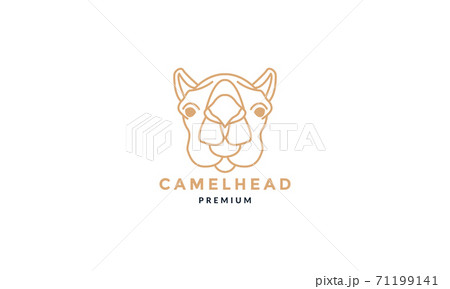 Camel head face line art outline unique logo vector  illustration design 71199141