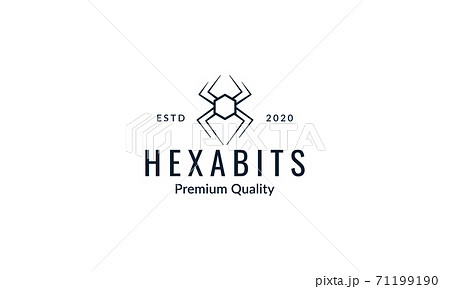 spider hexagonal  line art  logo icon vector illustration design 71199190