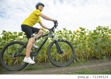 girl cyclist rides a field with sunflowers on a bicycle. Healthy lifestyle and sport. girl cyclist rides a field with sunflowers on a bicycle. Healthy lifestyle and sport. 71199324