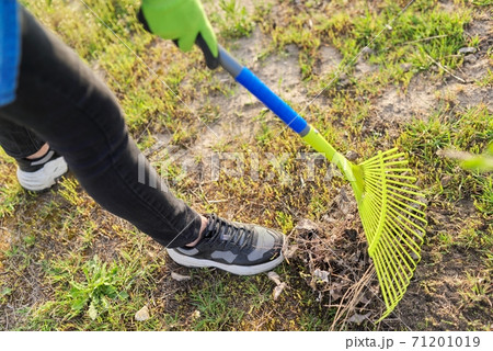 Spring cleaning in the garden, closeup rake cleaning green grass 71201019