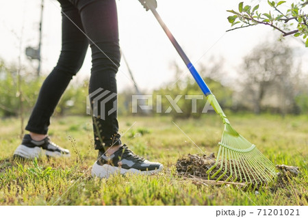 Spring cleaning in the garden, closeup rake cleaning green grass 71201021