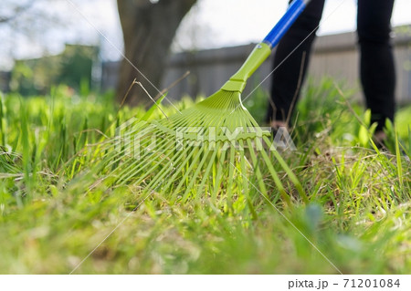 Spring cleaning in the garden, closeup rake cleaning green grass 71201084