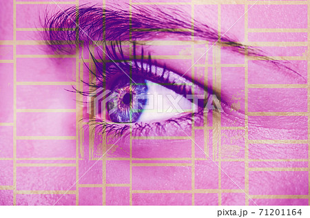 A beautiful insightful look eye. Close up shot. A beautiful insightful look eye. Close up shot. 71201164