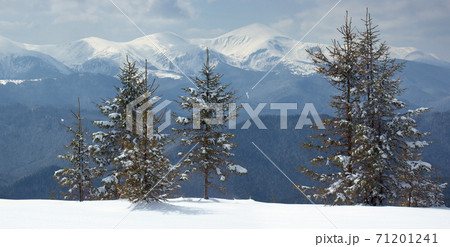 Winter landscape Winter landscape 71201241
