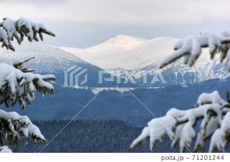 Winter landscape 71201244