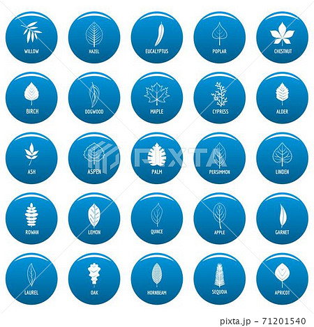 Leaf vector icons set blue, simple style 71201540