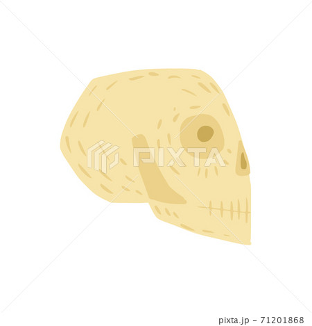 Skull isolated on white background. Simple sketch hand drawn in style doodle. 71201868