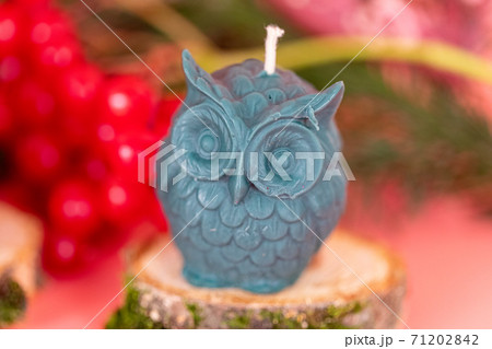 Handmade honey candles made of natural wax in the form of owl on a pink background. Elements from natural materials. Christmas or New Year composition. Photo for postcards. Handmade honey candles made of natural wax in the form of owl on a pink background. Elements from natural materials. Christmas or New Year composition. Photo for postcards. 71202842