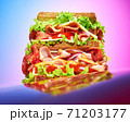 Huge tall sandwich with meat on colored background 71203177