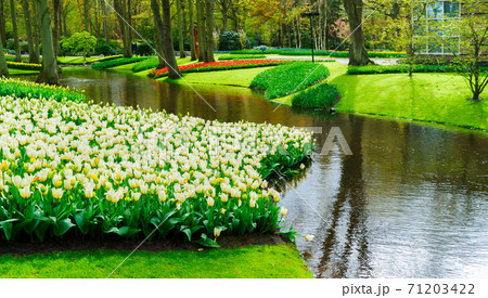 Spring pond in garden 71203422