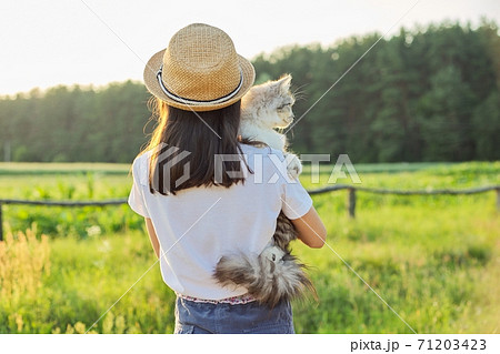 Child girl in hat with gray fluffy cat in her arms. Beautiful sunset country landscape background Child girl in hat with gray fluffy cat in her arms. Beautiful sunset country landscape background 71203423