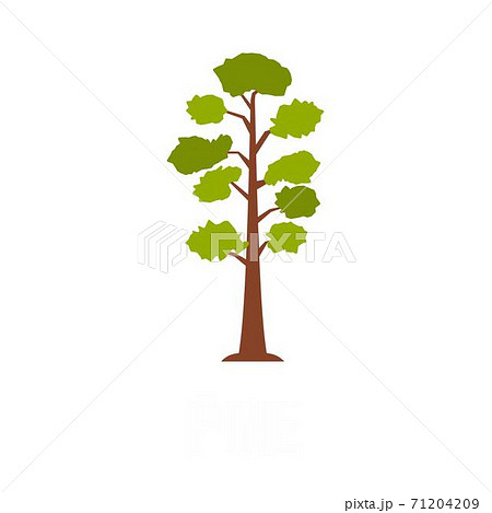 Pine tree icon, flat style 71204209