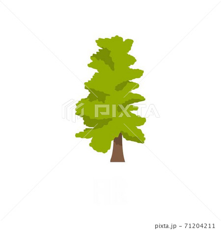 Fir tree icon, flat style Fir tree icon, flat style 71204211
