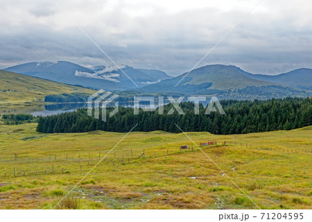 Loch Tulla Viewpoint - Scotland - United Kingdom 71204595
