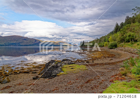 Relaxing picnic area at Loch Linnhe - west coast Scotland 71204618