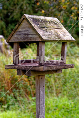 Wooden bird house on a wood pole Wooden bird house on a wood pole 71204647