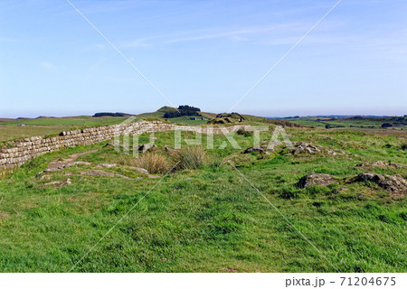 Hadrian's Wall - Northumberland - England United Kingdom 71204675