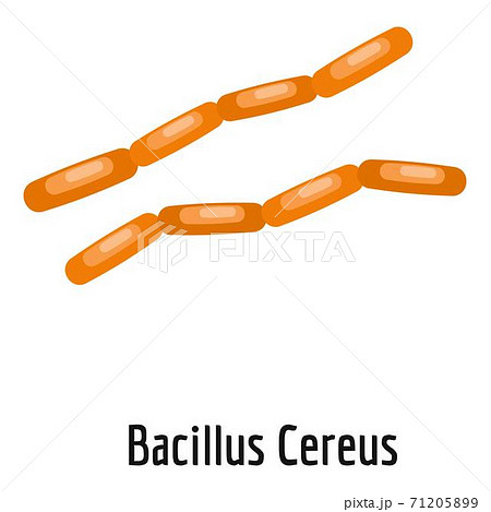 Bacillus Cereus Icon Cartoon Style のイラスト素材 71205899 Pixta