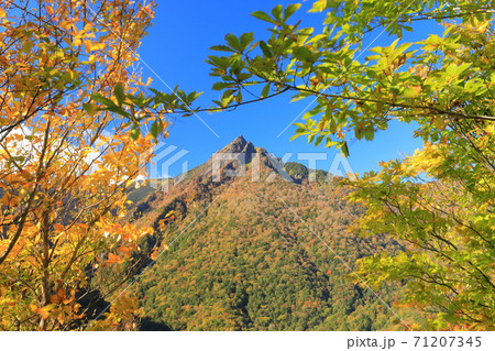 【愛媛県】晴天下の石鎚山紅葉 【愛媛県】晴天下の石鎚山紅葉 71207345