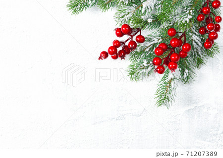 Christmas background Pine tree branches red berries 71207389