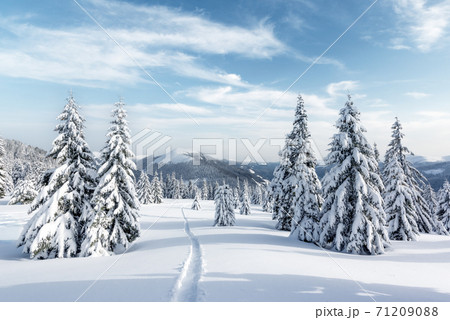 Fantastic winter landscape 71209088