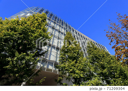 東京散歩　お台場　シンボルプロムナード公園とフジテレビ湾岸スタジオ 71209304