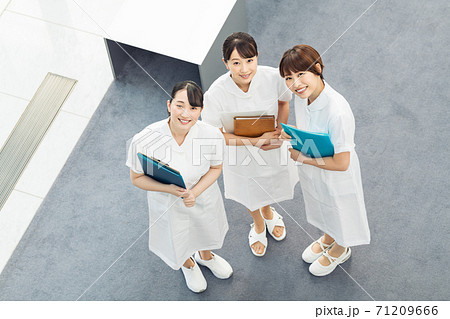 女性看護師3人のポートレート 71209666