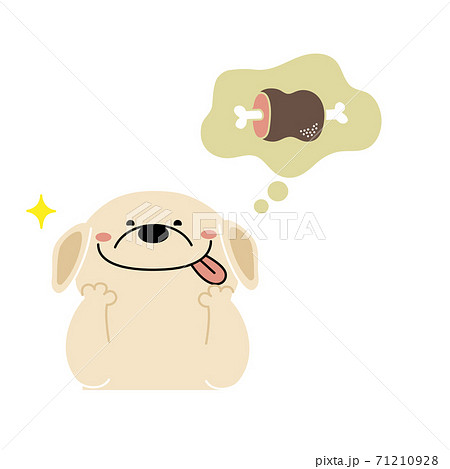 ご馳走を想像して喜ぶレトリバー 71210928