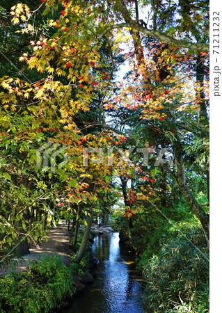 遠野の秋 かっぱ淵と常堅寺 遠野の秋 かっぱ淵と常堅寺 71211232