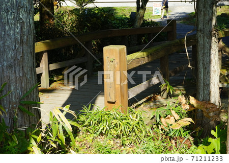 遠野の秋 かっぱ淵と常堅寺 遠野の秋 かっぱ淵と常堅寺 71211233