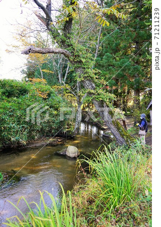 遠野の秋　かっぱ淵と常堅寺 71211239