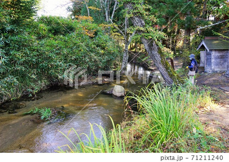 遠野の秋 かっぱ淵と常堅寺 遠野の秋 かっぱ淵と常堅寺 71211240