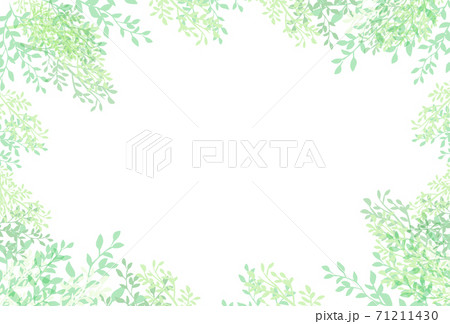 新緑の葉の緑のフレーム背景イラスト素材のイラスト素材