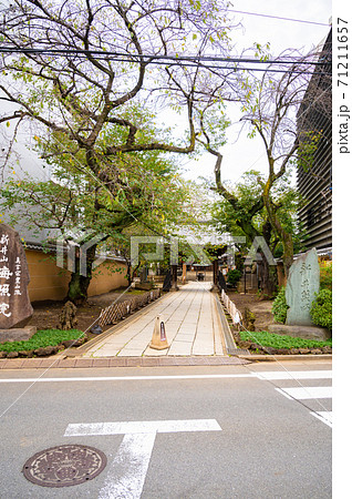 新井山梅照院(新井薬師) 71211657