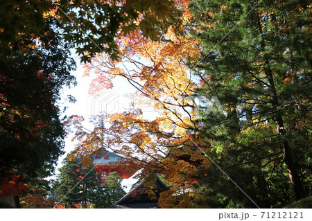 秋の高野山 71212121