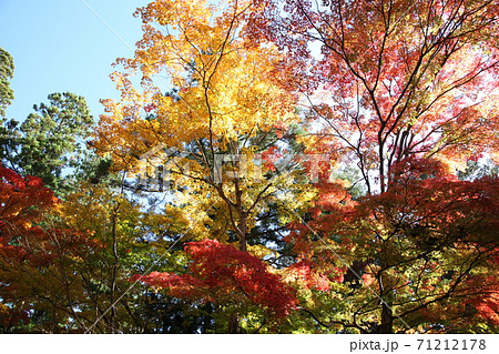 秋の高野山 71212178