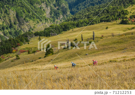 台湾 林 森 71212253
