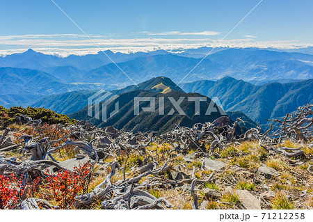 台湾 林 森 71212258