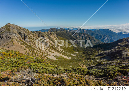 台湾 林 森 71212259