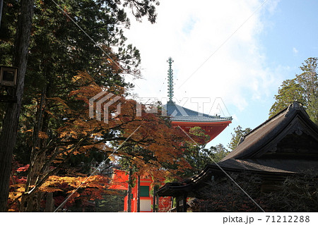 秋の高野山 秋の高野山 71212288