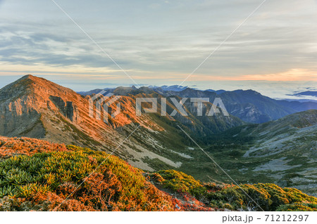 台湾 林 森 71212297