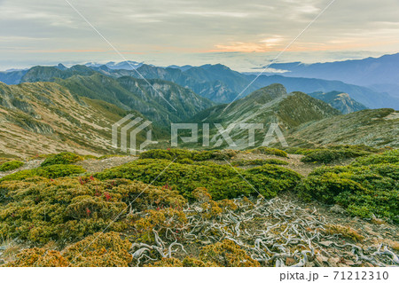 台湾 林 森 71212310