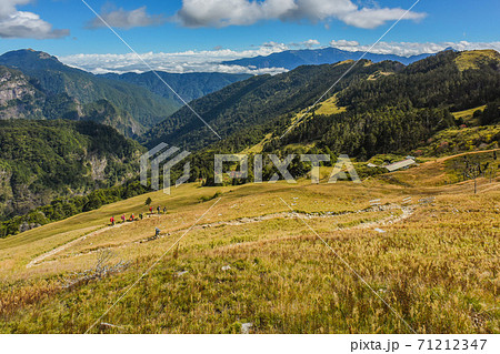 台湾 林 森 71212347