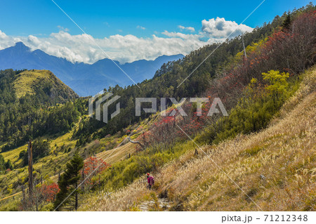 台湾 林 森 71212348