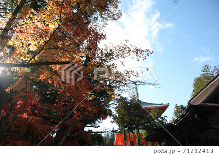 秋の高野山 71212413