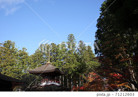 秋の高野山 秋の高野山 71212603