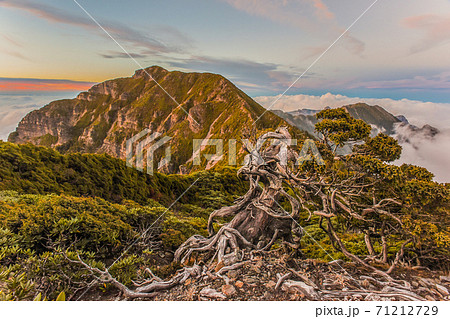 台湾 雪の山 雪山 71212729